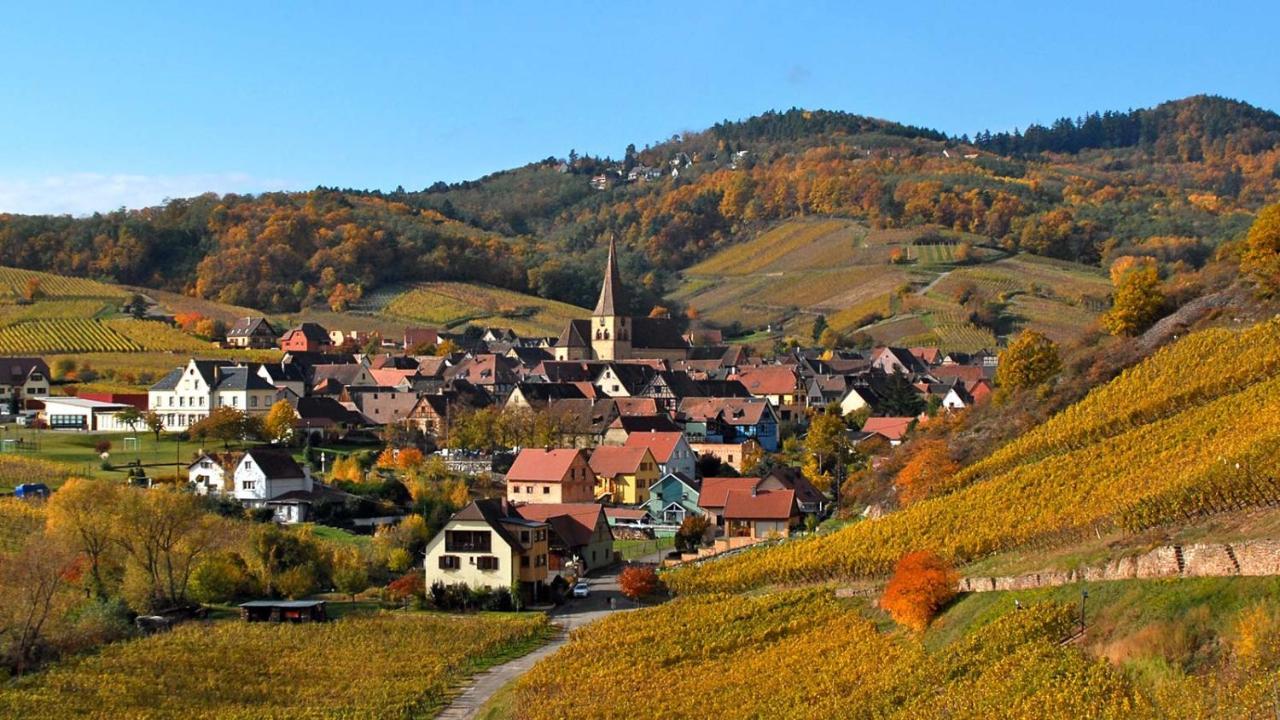 Hotel De L'Ange Niedermorschwihr Zewnętrze zdjęcie